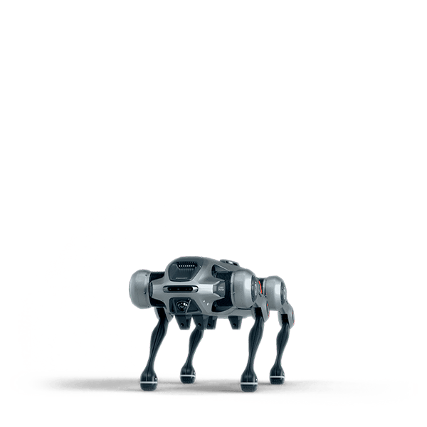 JS01 quadruped robot